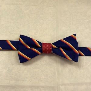 Blue and Ruby Striped Bowtie